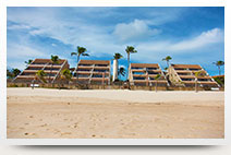 Ocean View Apartments